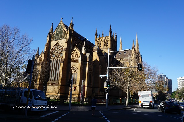 DSC07544.jpg