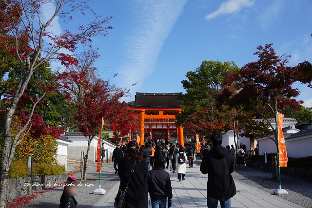 DSC09172.jpg