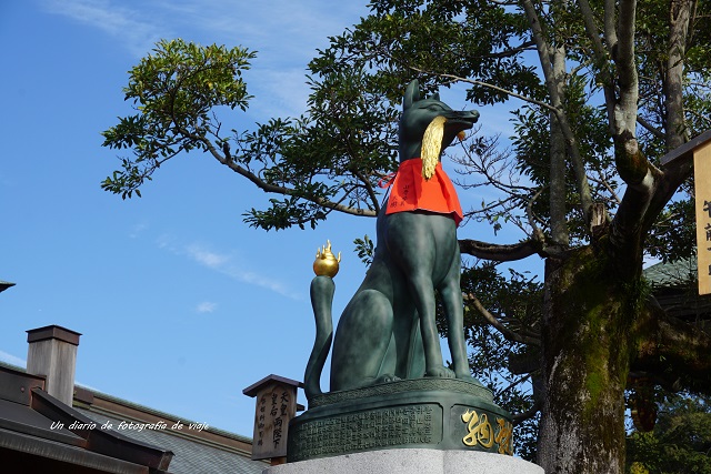 DSC09181.jpg