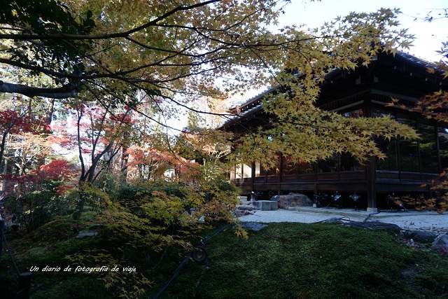 DSC09339.jpg